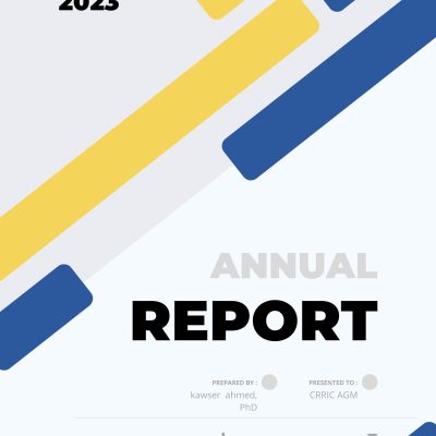 Blue Yellow Modern Cover Annual Report